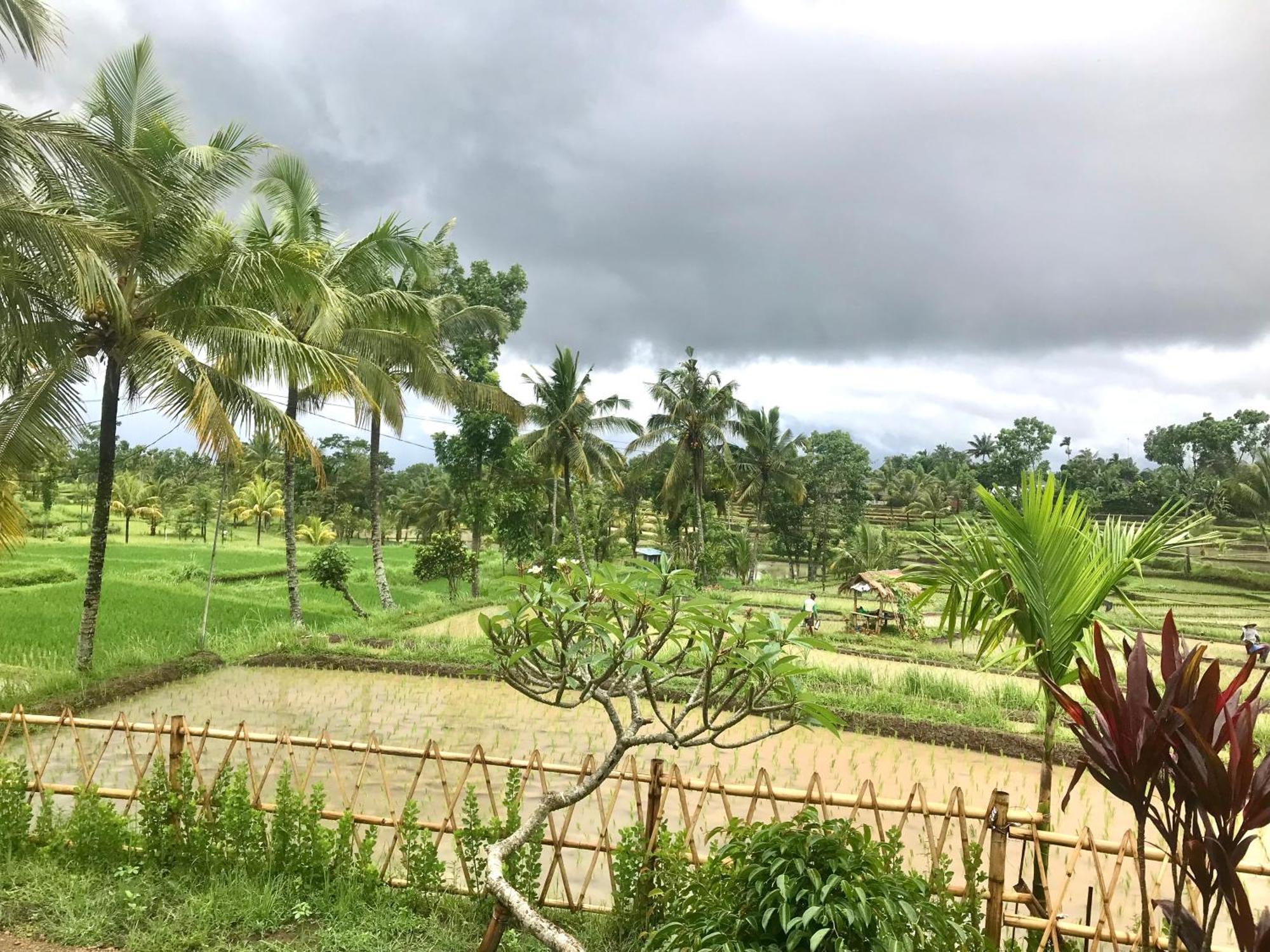 Bello Bungalow Batukliang Luaran gambar