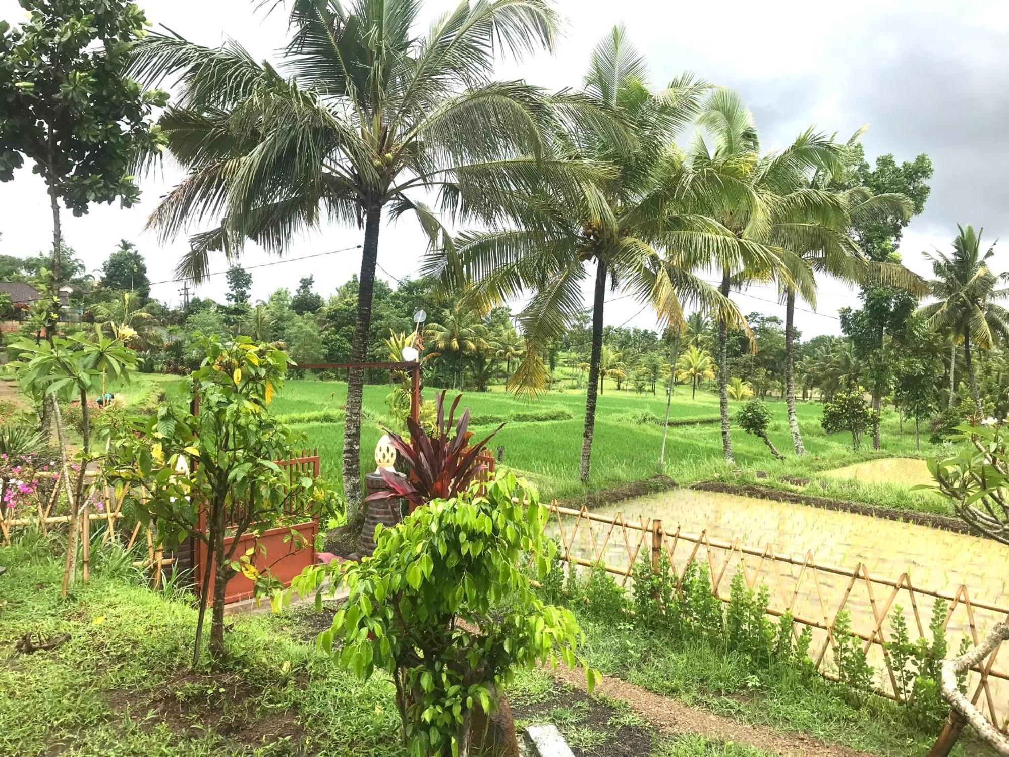Bello Bungalow Batukliang Luaran gambar