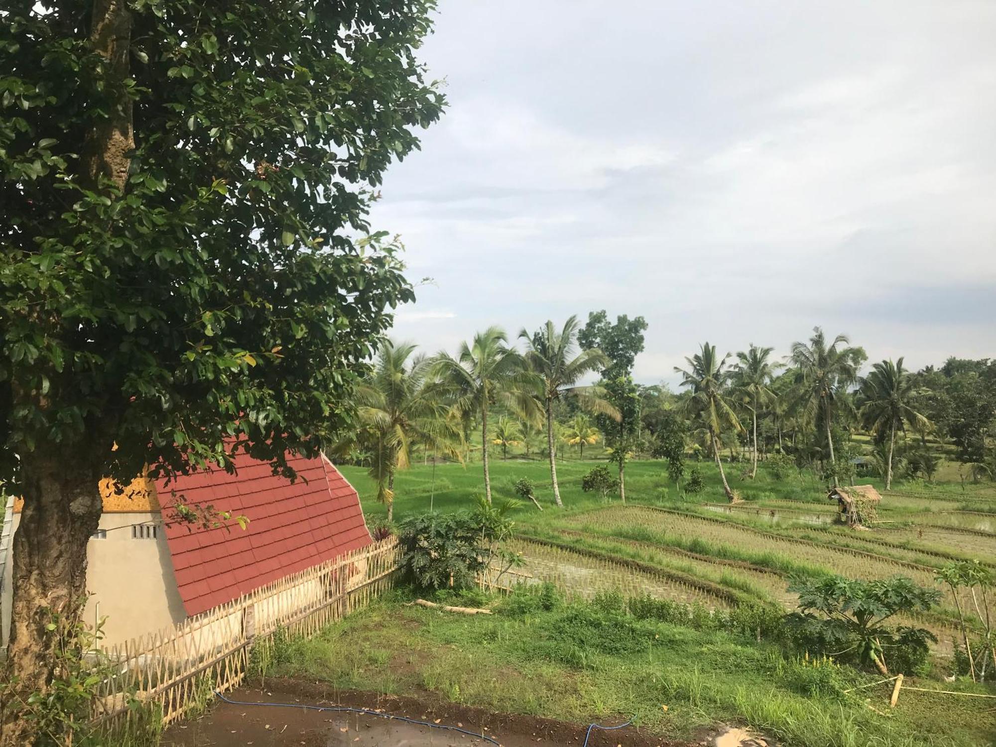 Bello Bungalow Batukliang Luaran gambar
