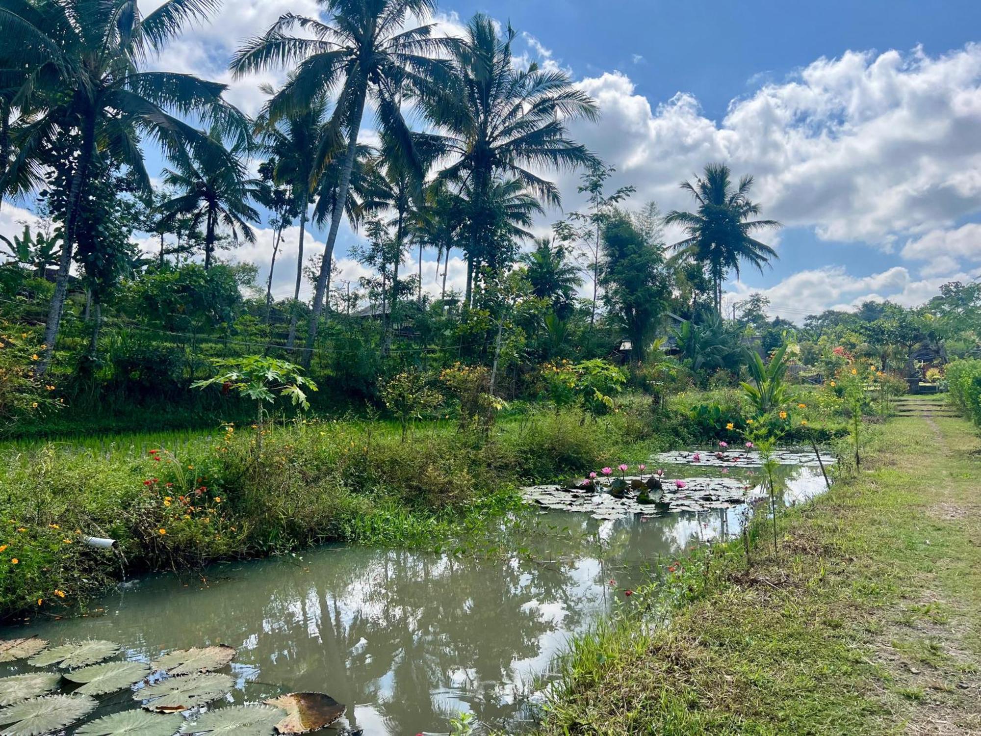 Bello Bungalow Batukliang Luaran gambar