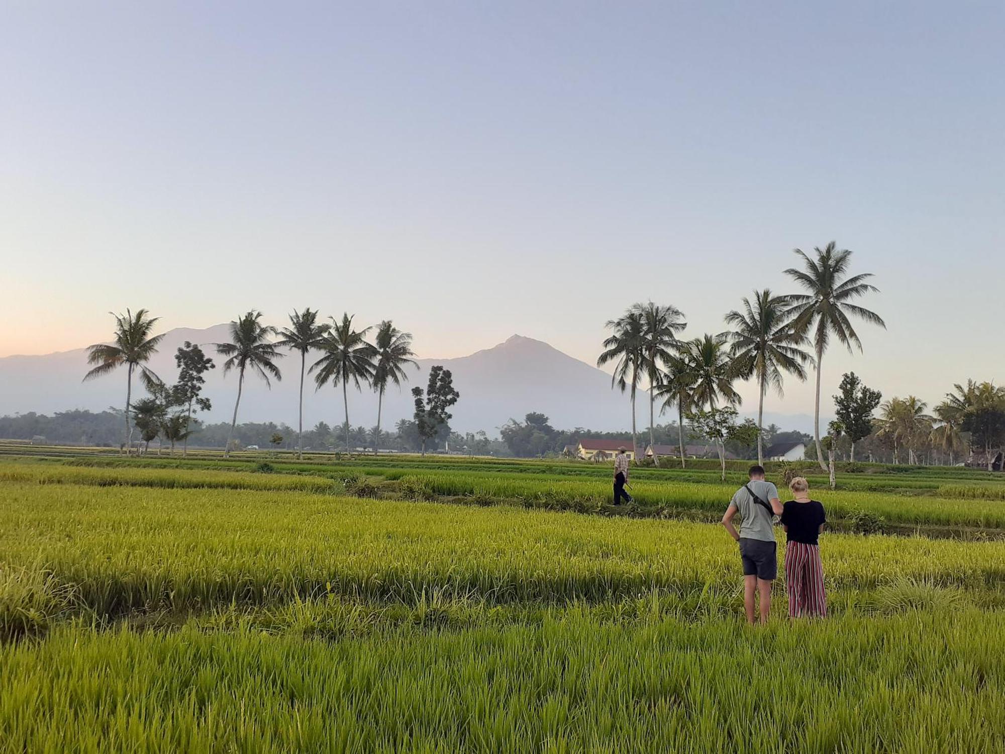 Bello Bungalow Batukliang Luaran gambar